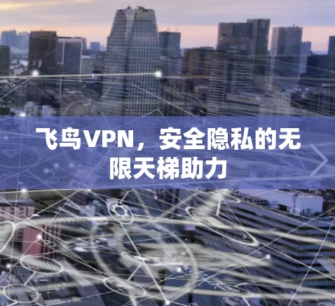 飞鸟VPN，安全隐私的无限天梯助力