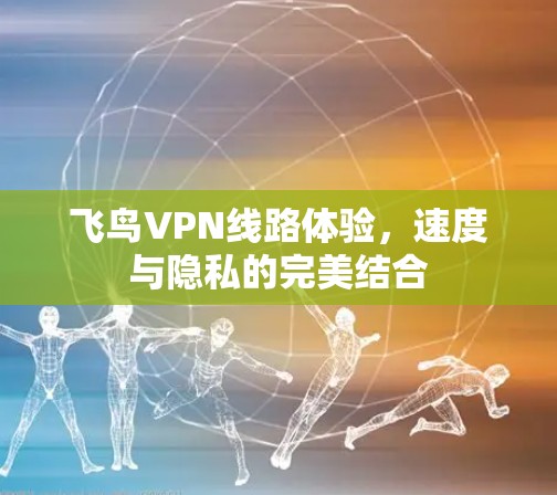 飞鸟VPN线路体验，速度与隐私的完美结合