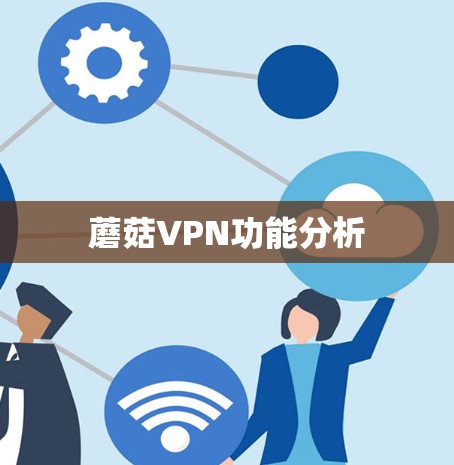 蘑菇VPN功能分析
