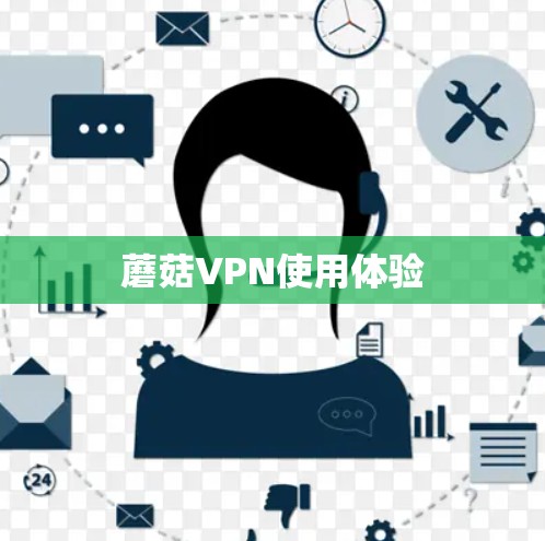 蘑菇VPN使用体验