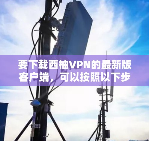 要下载西柚VPN的最新版客户端，可以按照以下步骤操作
