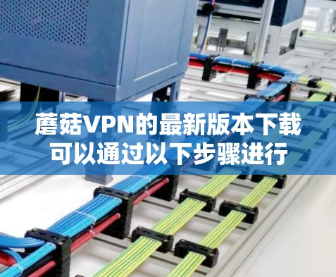蘑菇VPN的最新版本下载可以通过以下步骤进行