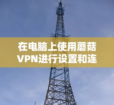 在电脑上使用蘑菇VPN进行设置和连接，可以按照以下步骤进行