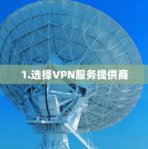 1.选择VPN服务提供商