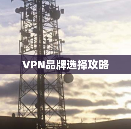 VPN品牌选择攻略