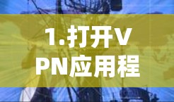 1.打开VPN应用程序