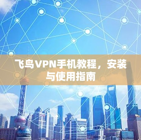 飞鸟VPN手机教程，安装与使用指南