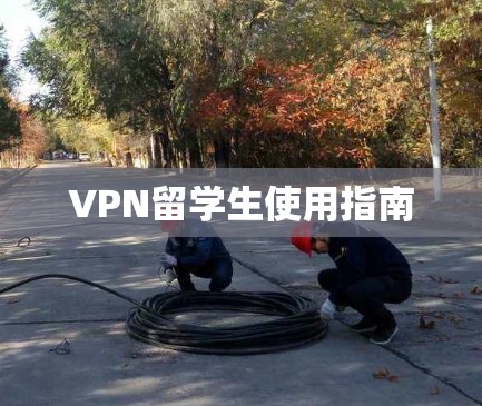 VPN留学生使用指南