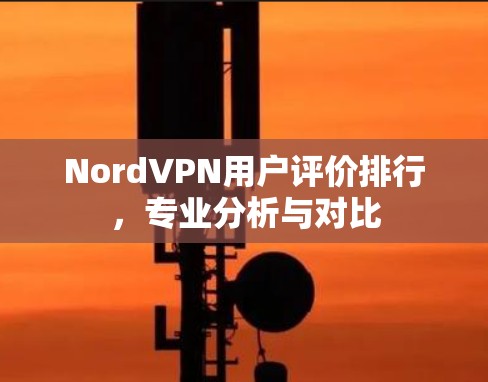 NordVPN用户评价排行，专业分析与对比