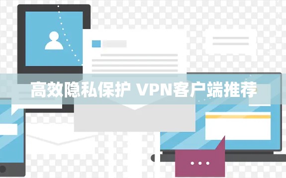 高效隐私保护 VPN客户端推荐