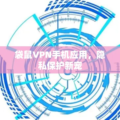 袋鼠VPN手机应用，隐私保护新宠