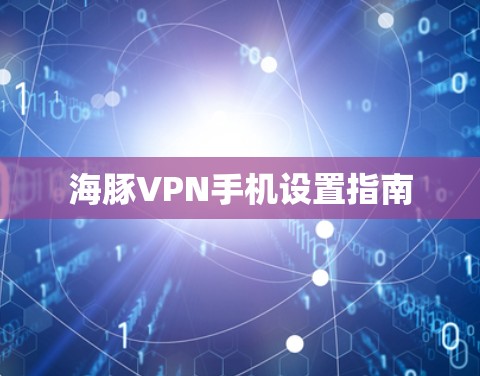 海豚VPN手机设置指南