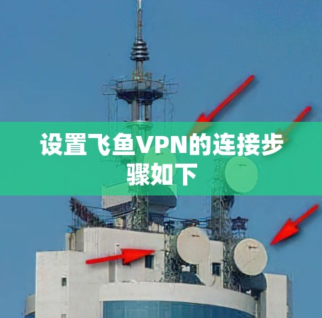 设置飞鱼VPN的连接步骤如下