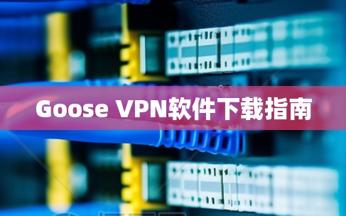 Goose VPN软件下载指南