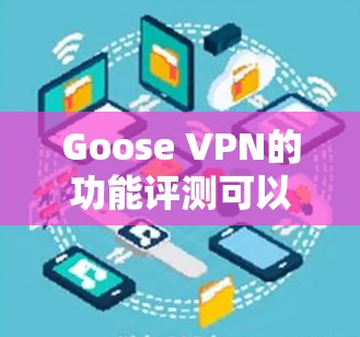 Goose VPN的功能评测可以从多个方面进行分析，以下是一个详细的评测总结