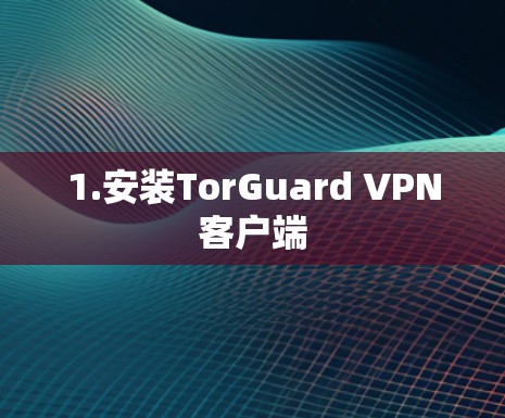 1.安装TorGuard VPN客户端