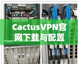 CactusVPN官网下载与配置指南
