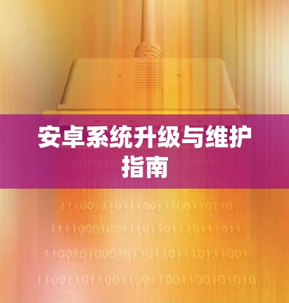 安卓系统升级与维护指南