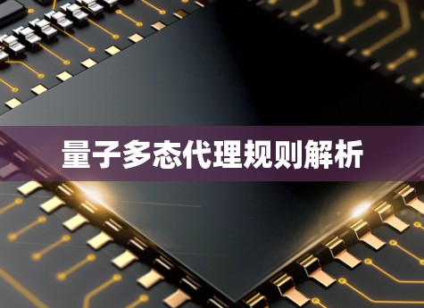 量子多态代理规则解析