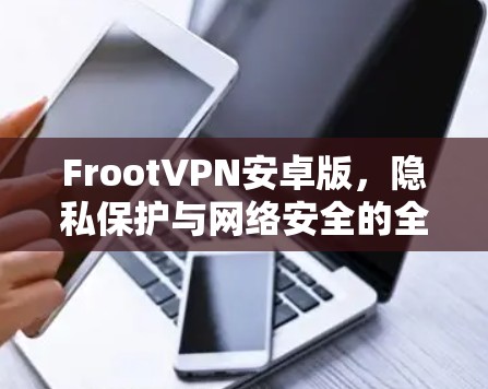 FrootVPN安卓版,隐私保护与网络安全的全新解决方案