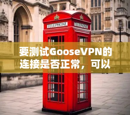 要测试GooseVPN的连接是否正常，可以按照以下步骤进行