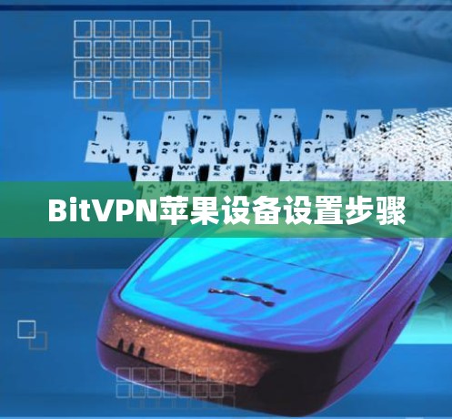 BitVPN苹果设备设置步骤